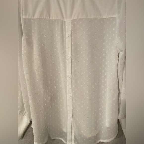 Skies Are Blue | Scoop Neck with Detailed Sleeves | M - Picture 6 of 8